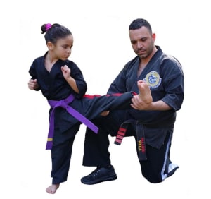 students in kids martial arts in Pikesville - Palanzo Martial Arts students in kids martial arts in Pikesville - Palanzo Martial Arts