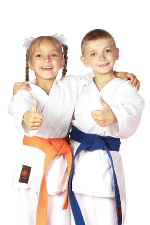 students in after school program in Pikesville - Palanzo Martial Arts students in after school program in Pikesville - Palanzo Martial Arts