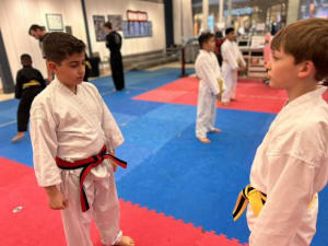 students in Kids Martial Arts in Livonia - Metro United Karate