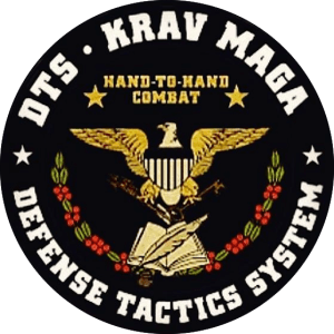 students in Krav Maga in Ballantyne - USK Martial Arts