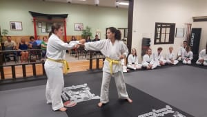 students in adult karate in St. Louis - Dave Hanson's Gateway Karate students in adult karate in St. Louis - Dave Hanson's Gateway Karate