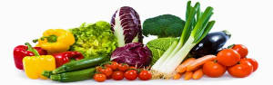 Combine Exercise & Diet for Weight Loss
