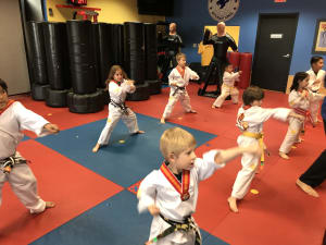Tigers Martial Arts Class (5-7 years old)
