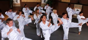 in Lafayette - Champagne's Martial Arts