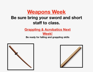 in Houston - Meyerland Martial Art Center - Weapons Week
