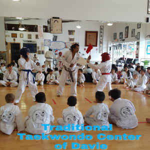 in Davie and Cooper City - Traditional Taekwon-Do Center Of Davie