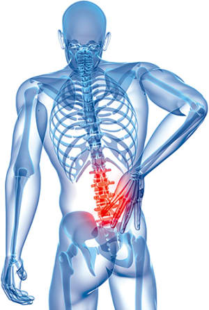 Therapeutic Exercises for Low Back Pain You Say? Sign Me Up!