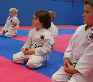Weekly Tip - Before Your Childs next Belt Promotion, here is something to consider…
