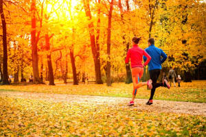 Fall is a Season for Change