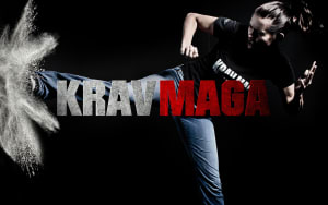 HMA is hosting a Free Intro to Krav Maga Seminar on October 13th!
