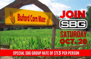 Buford Corn Maze