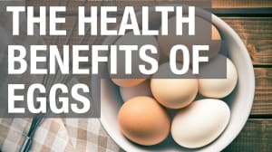 Eggs Are Incredibly Nutritious