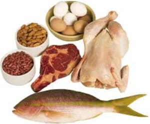 How Protein Helps You Lose Fat
