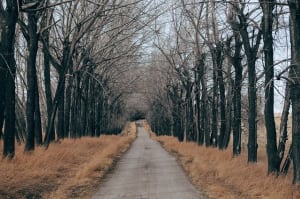 The Journey Vs The Destination - Tucson Personal Training Blog