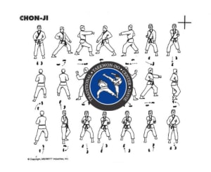 Adult Martial Arts near Davie and Cooper City - Traditional Taekwon-Do Center Of Davie