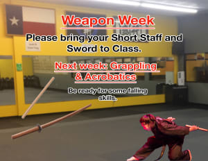in Houston - Meyerland Martial Art Center