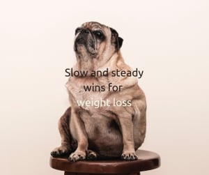 Want to lose weight, yesterday? Here’s why you should take it slow.