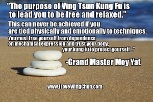The Purpose of Wing Chun