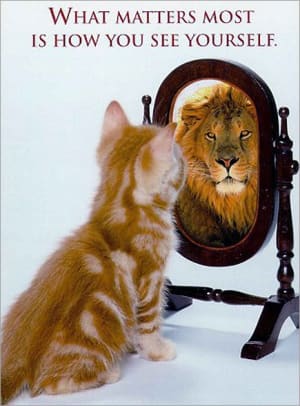 The Pygmalion Effect
