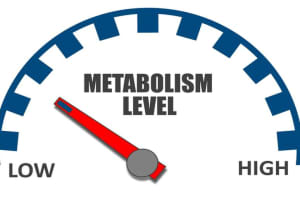 Combat the "Slowing Metabolism" Monster