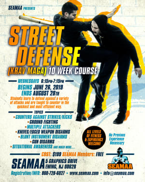 10 Week Street Defense (Krav Maga) Course