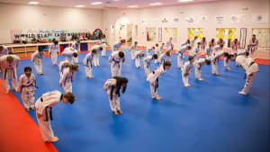 The Five Tenets of Tae Kwon Do