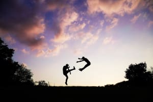 Absorb What Is Useful, Reject What Is Useless - Tucson Personal Training Blog