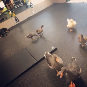 EVENING SMALL GROUP FITNESS! COMING SEPTEMBER 4th!