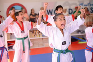 BACK TO SCHOOL WITH SKILLS! How Tae Kwon Do Can Help Your Child Make This School Year Their Best Ever!