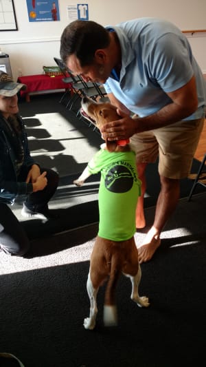 Canine Martial Arts?