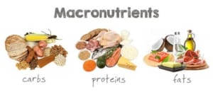 Macronutrients: What are they? What do they do? How do they work?