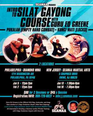 Intro to Silat Gayong Course