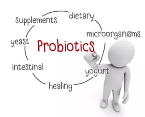 Toxic Overload Gut Health & Probiotics