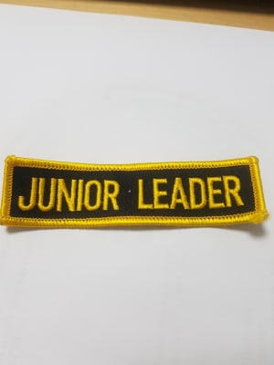 Junior Leadership Programme at Tring Martial Arts Academy