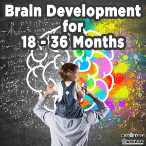 Brain Development for 18 – 36 Months