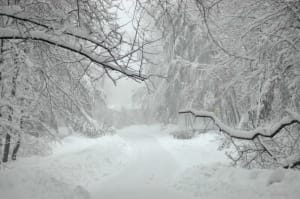 Closed Today Due to Impending Bad Weather