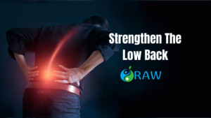 Improve Back Pain