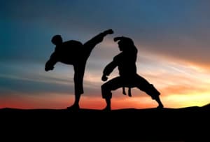 Burn 500 Calories In 1 Martial Art Class