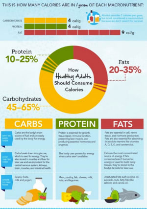 The Right Diet For You