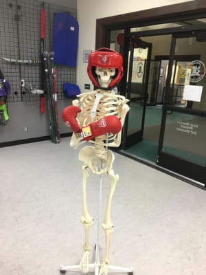 Fully trained!
