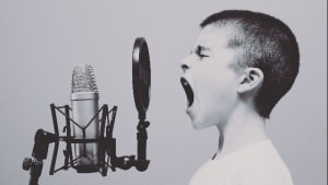 Voice