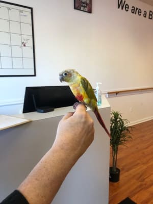 Our Newest Student-Skittle