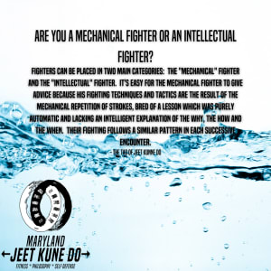 Are you a Mechanical Fighter or an Intellectual Fighter?