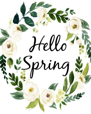 Jump Into a New Hobby This Spring at RIMA!
