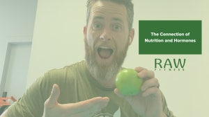 Nutrition's Relationship with Stress