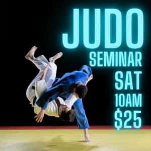 Judo Seminar