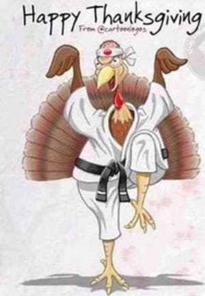 Jiu-Jitsu Online Lesson