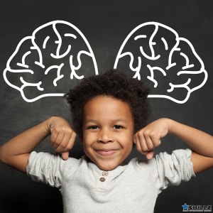 Whole Brain Intellectual Support