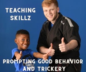 Teaching Skillz: Prompting Good Behavior and Trickery