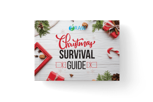 Christmas Survival Guide